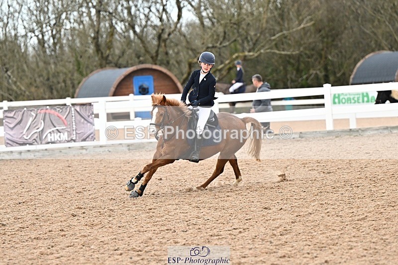 250308-141546-02267 - Cls 30 Stepping Stones