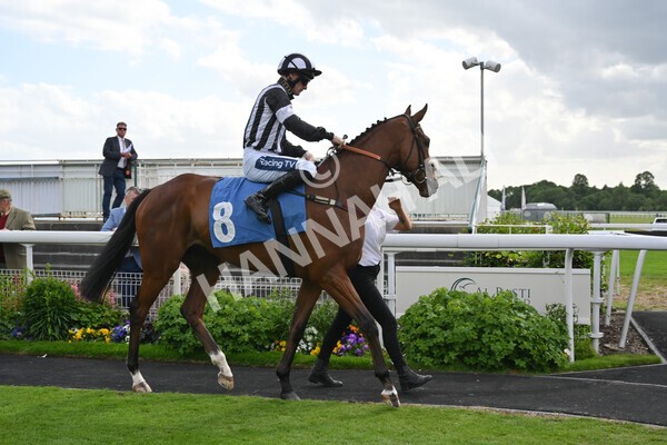 yr10062022r7-3 - Race 7 5.10pm Andy Thornton Hospitality Furniture Stakes