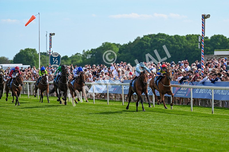 230526-Race 6-Pearl River-7729 - Race 6 16.25pm Royal Yorkshire Regiment Handicap