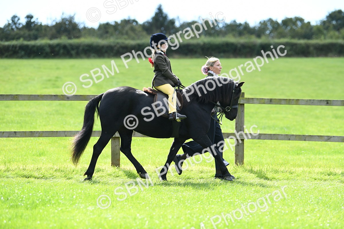 SBM_42544 - S20 - Lead Rein Mountain & Moorland Pony