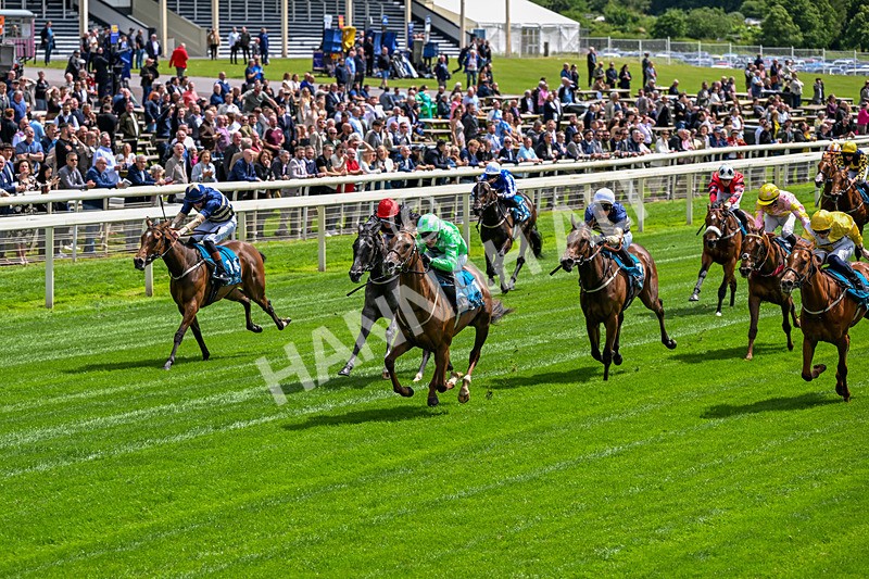 120626-Race 2-Everatease-6820 - Race 2 14.25pm Constant Security Keeping York Racegoers Safe Rous Selling Stakes