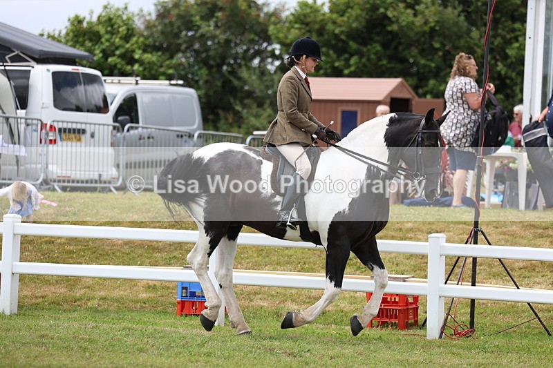 3E7A1917 - Class 10: Open Cob