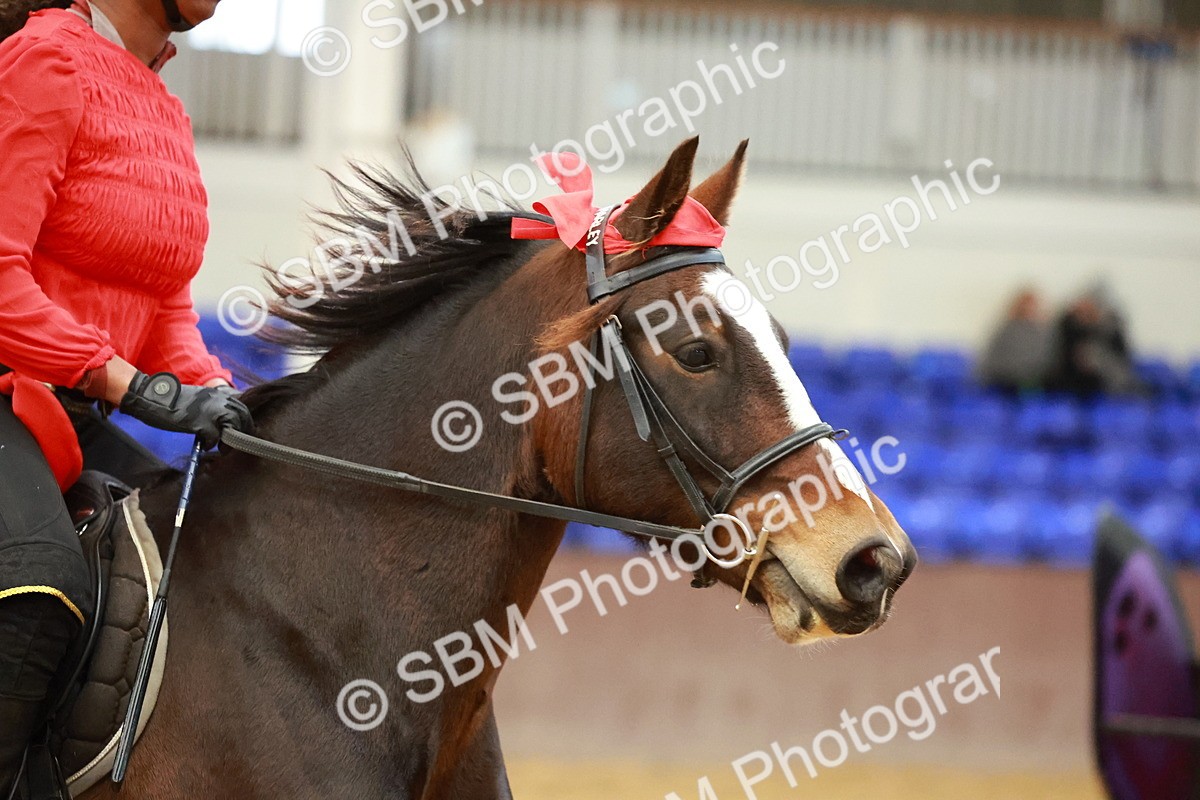 SBM_000609 - Class 2 - 50cm