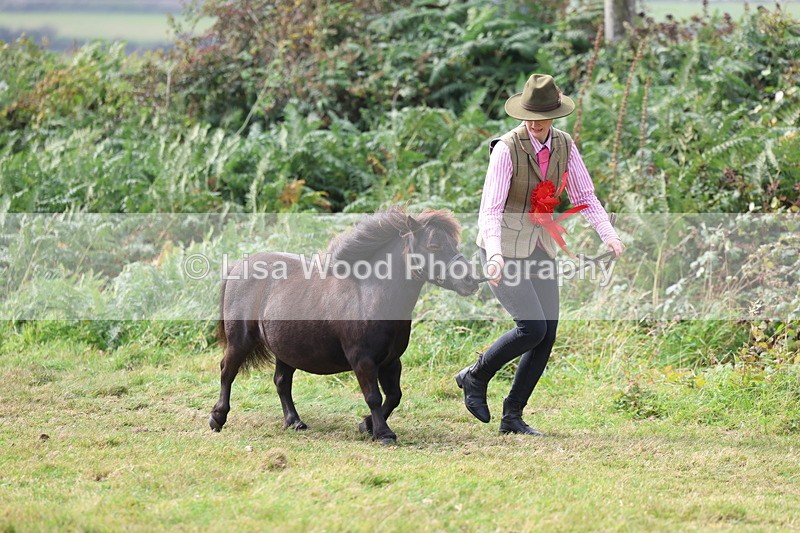 3E7A5653 - In Hand Championship