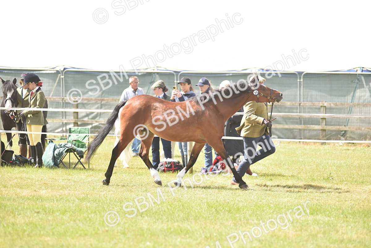SBM_16080 - Class 117-122 - SSADL RIHS Qualifier