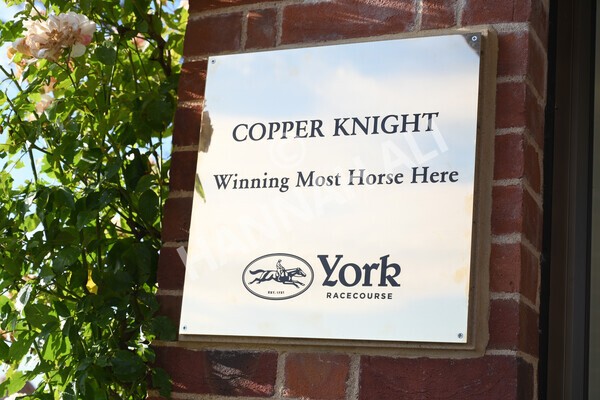 yr08102021r5-42 - Race 5 4.20pm Copper Knight - Winning Most Horse At York Handicap