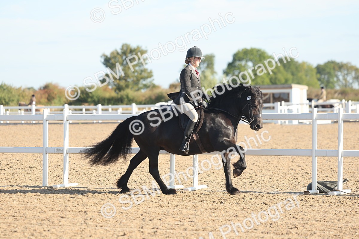 SBM_10997 - Class 302 - Ridden M&M Large Breeds