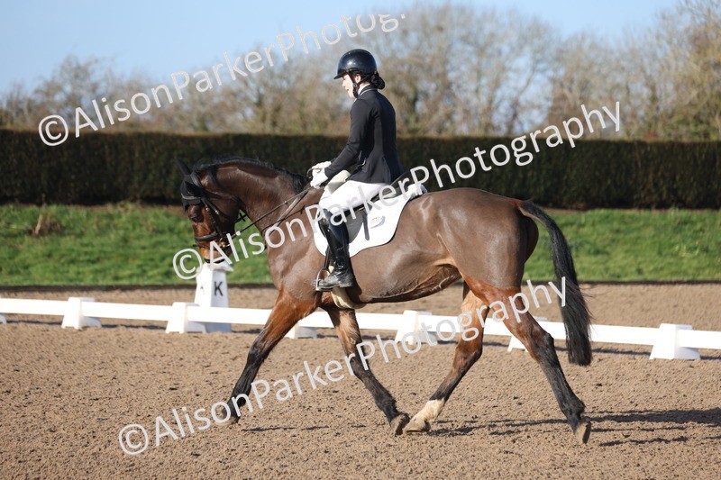 20260128-0141 - Class 3 - Novice 4