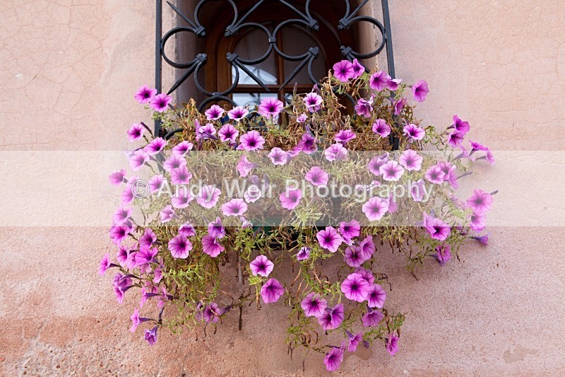 20120925-_MG_0207 - Miscellaneous Photographs