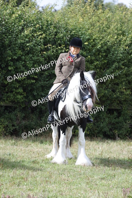 20250831-4337 - Class 20 - Ridden Coloured