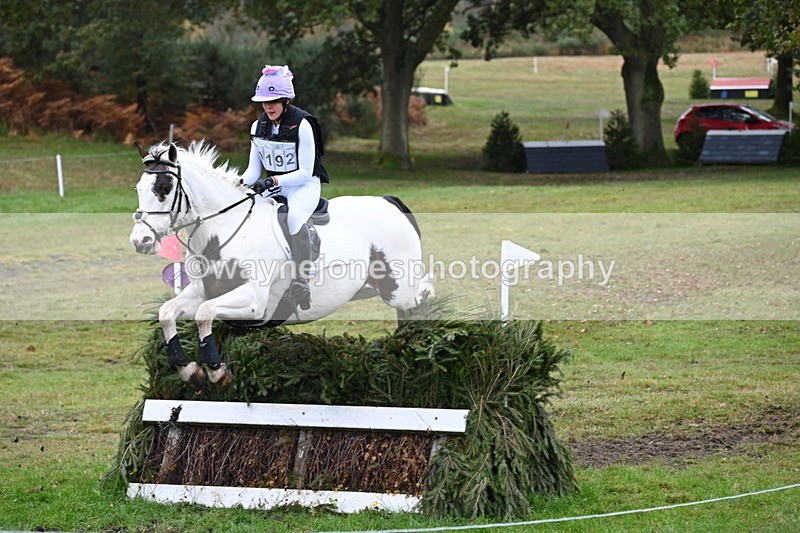 WJ6_2901 - 80cm Cam 1 Pairs Time 12:19 to 12:49