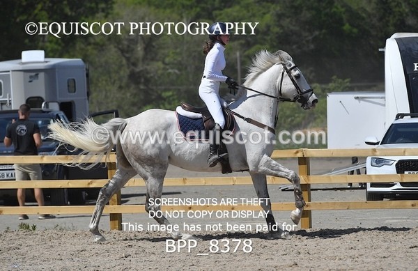 BPP_8378 - CLASS 6 Senior Newcomers/ 1.10m Open