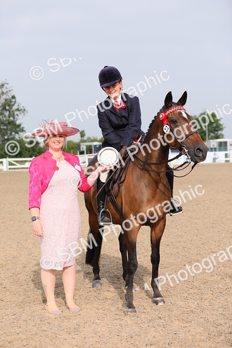 SBM_10725 - Class 303 Ridden Pure Bred Horse/Pony (excl M&M)
