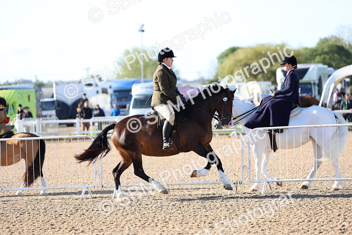 SBM_08761 - Class 302 - Ridden M&M - Large Breeds