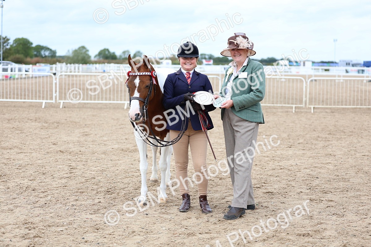 SBM_05977 - Class 29 - IH Veteran Pony