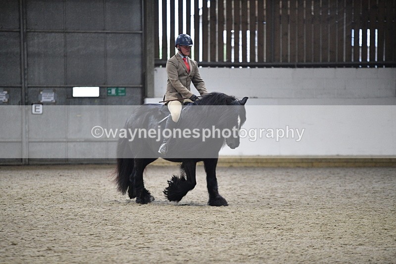 WJ5_8648 - Class 14 Novice Ridden/Rider