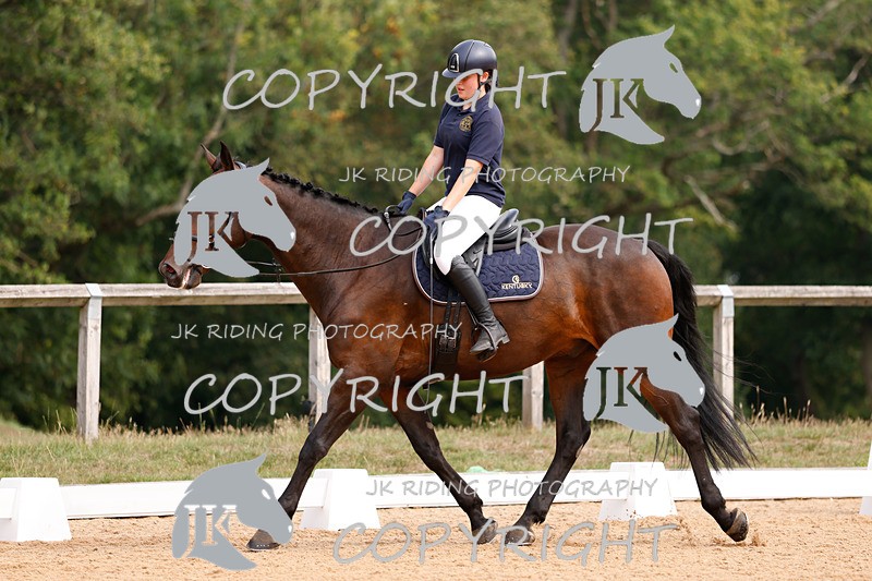 _R6A2407 - Dressage Morning