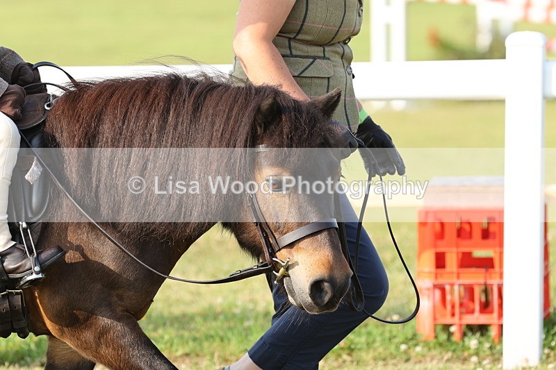 JPP_0135 - Class 14: Cornish Combination Leading Rein