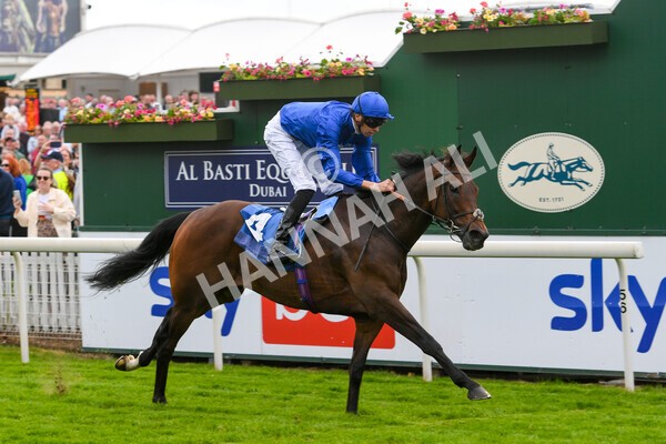 yr11062022r7-12 - Race 7 4.50pm The Ice Co Supporting Macmillan Stakes
