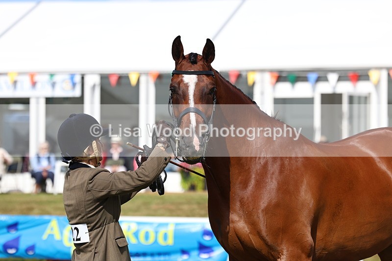 3E7A9559 - Class 4: Rising Star M/H Hunter