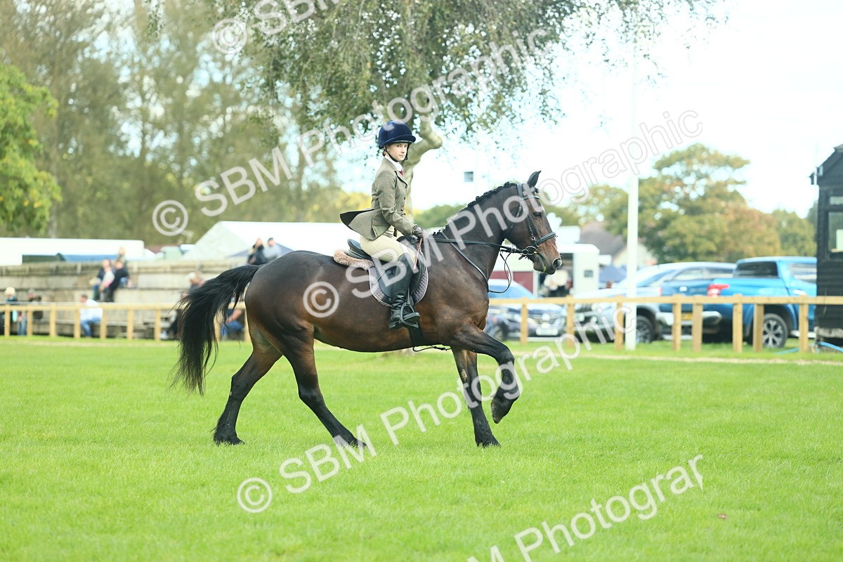 SBM_42038 - S29 - Novice & Newcomers Working Hunter Pony