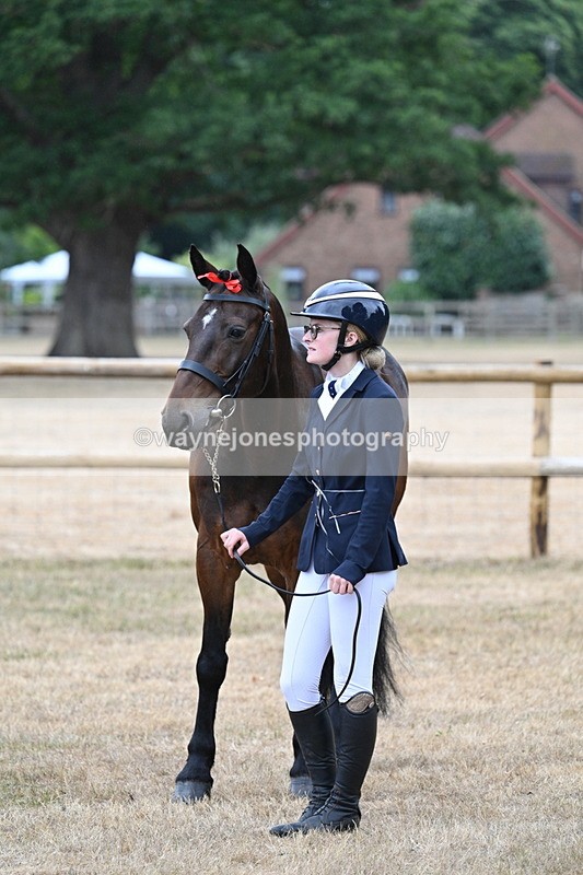 WJ7_9736 - Class 5a Most Handsome Gelding (above 14.2hh)