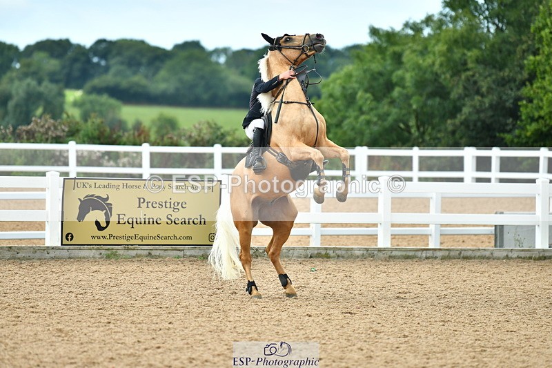 230813A-104409-11528 - Cls 40 A&B Senior Discovery & 1m Open