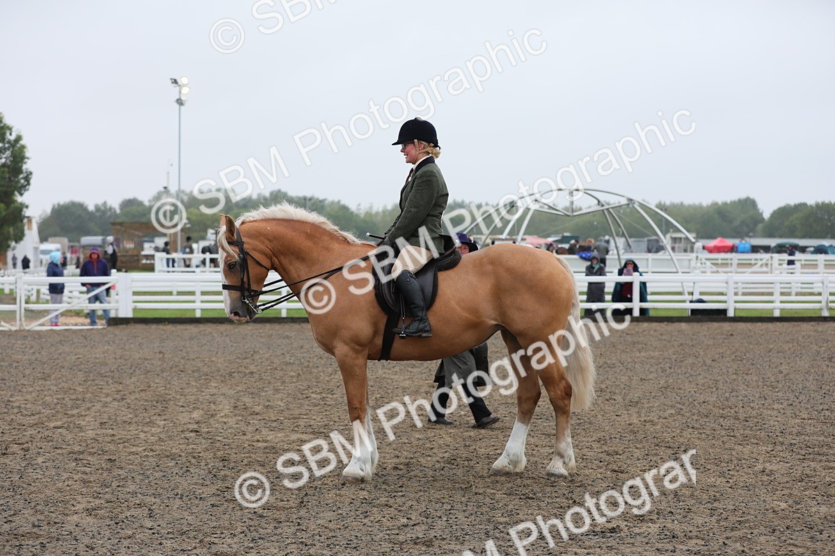 SBM_20332 - Class 803 - Ridden Combination 65+