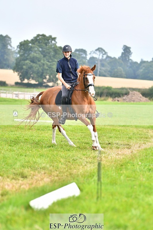 230817-091855-02528 - Abbie's 1st Group - Dressage