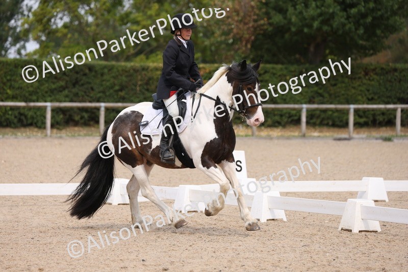 20250819-1342 - Class 4 - Novice 2