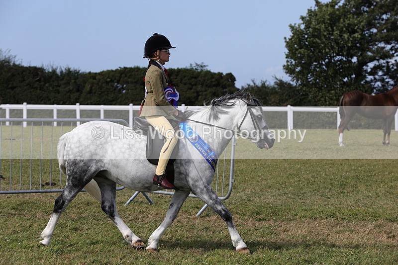 1X9A5513 - M&M Mini Ridden Championship