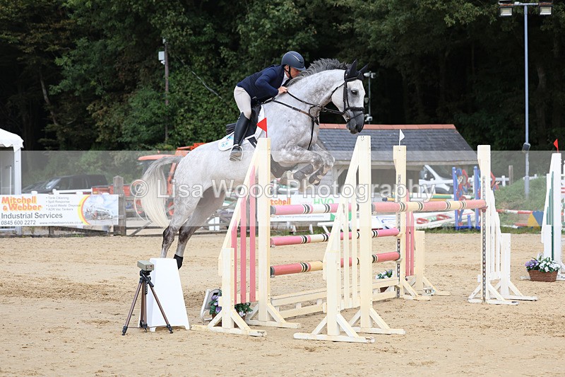 3E7A4466 - Class 8: Senior Foxhunter/1.20 open