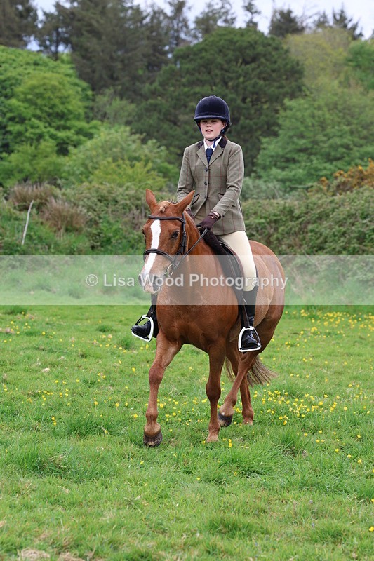 3E7A1773 - Class 9: Riding Club Horse/Pony