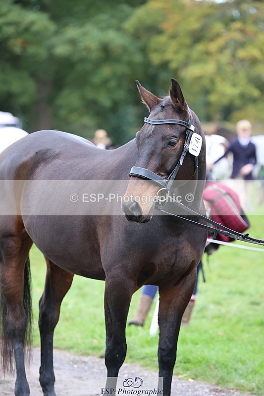 251026A-110435-23494 - F-474-Sarah.Orme