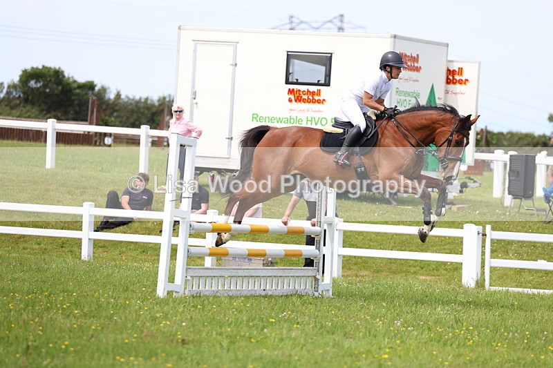 3E7A1517 - Class 13: Senior British Novice/90cm open