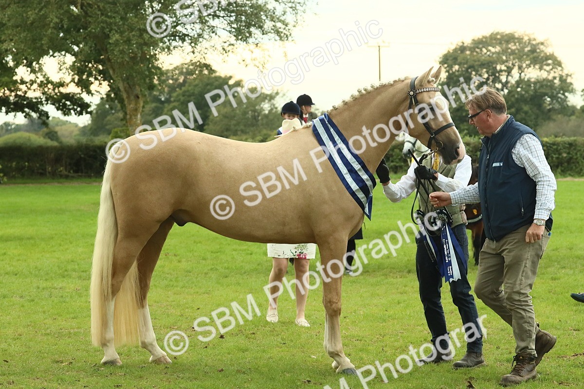 SBM_75186 - Super Supreme Championship