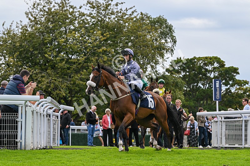 300826-Race 5-Harb-0944 - Race 5 3.55pm Constant Security Handicap