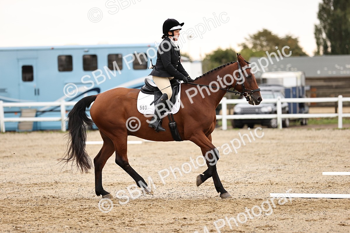 SBM_000461 - Prelim 3