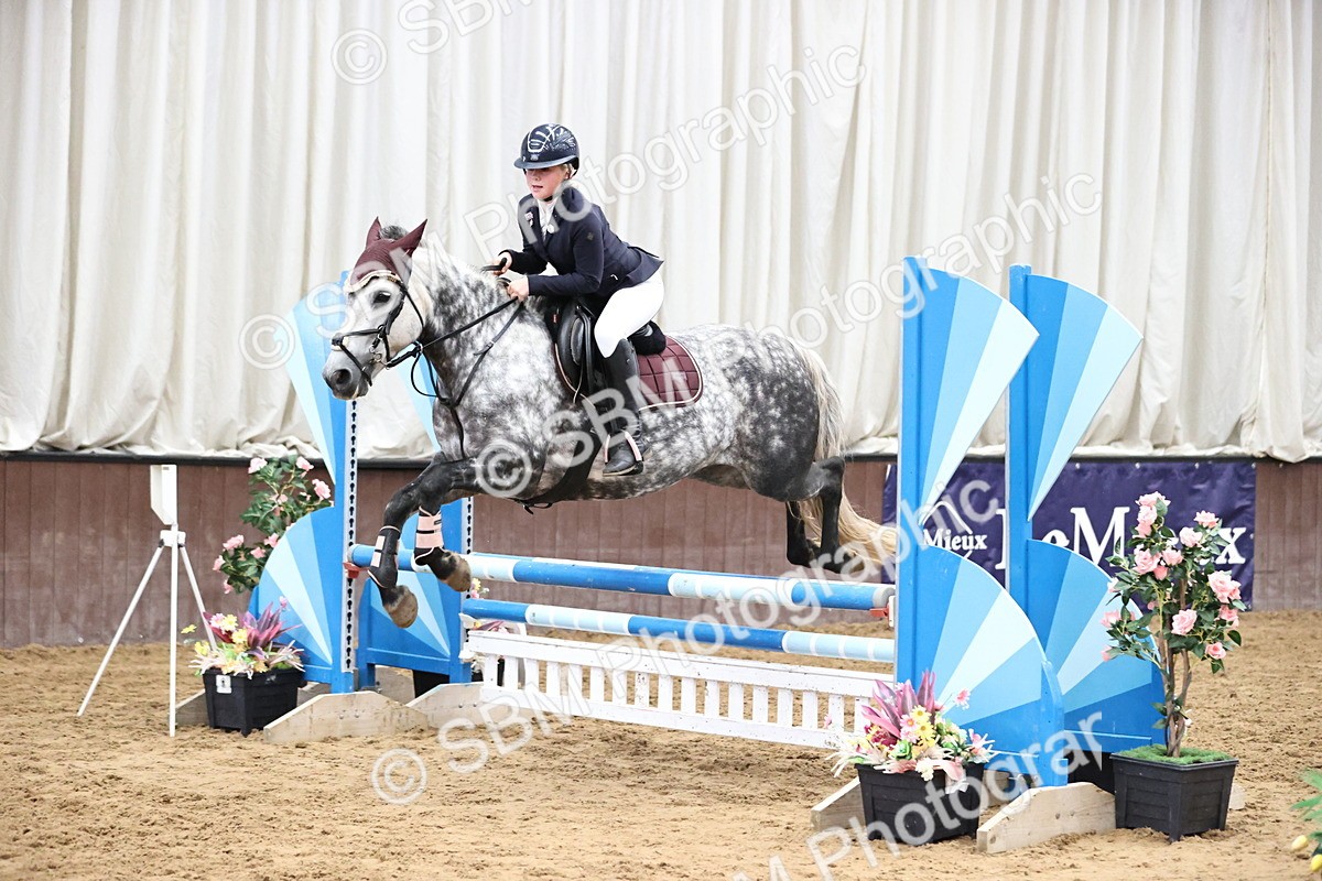 SBM_000241 - Class 2 - Pony British Novice - 80cm Open