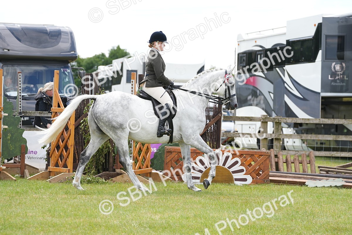 SBM_16156 - Class 105-106 - RIHS Riding Horses