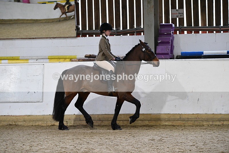 WJ5_7155 - Class 11 Ridden PC - RC Pony