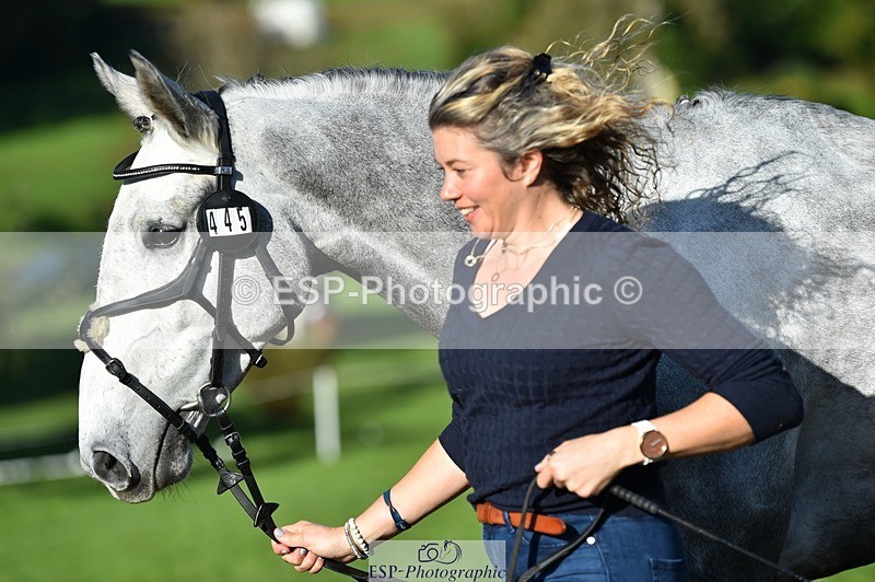 231022-104026-22657 - 445-CRUISING.BORO-Lucy.Knight-TrotUp+SJ