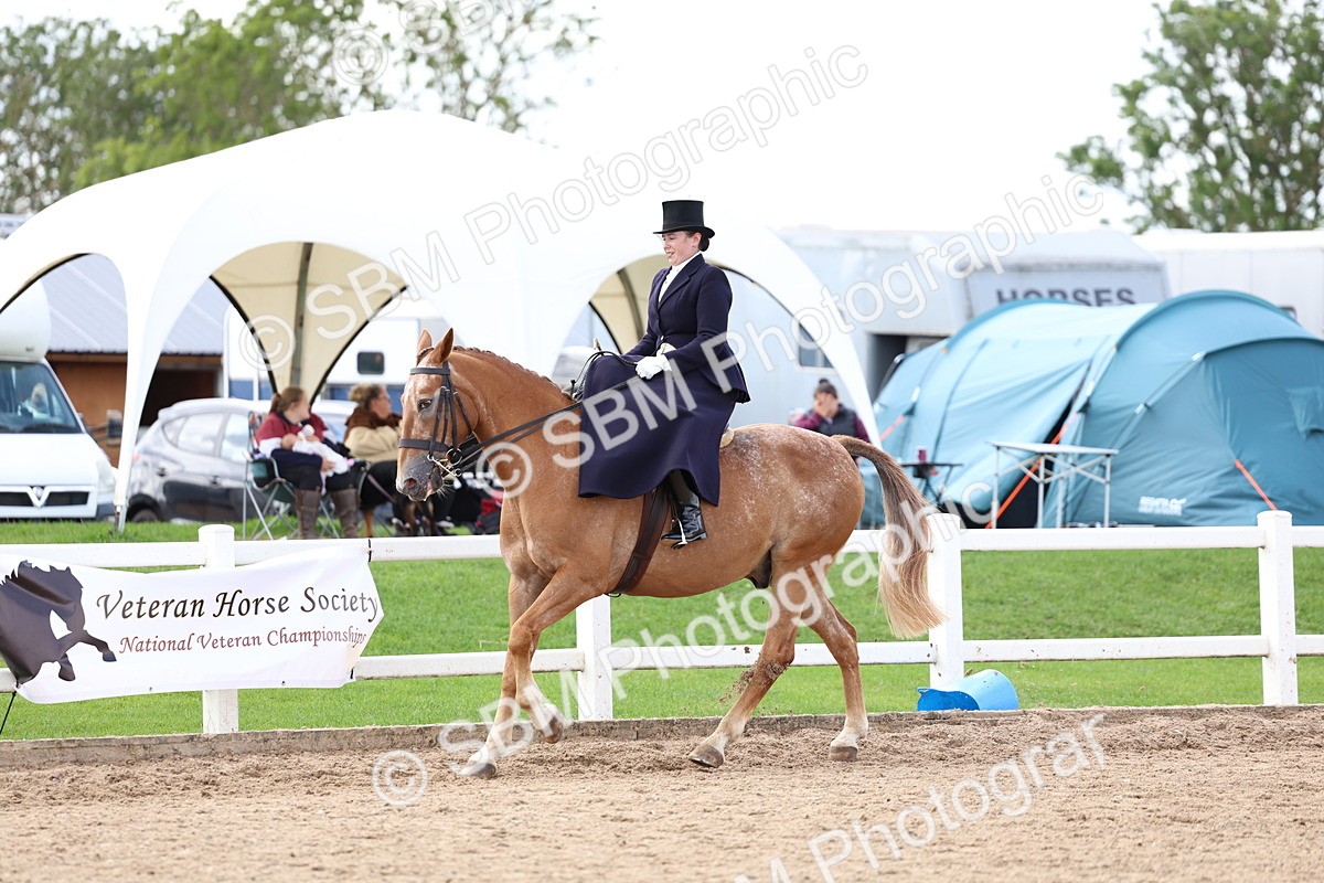 SBM_03214 - Class 22 - SSA Equitation (any age)