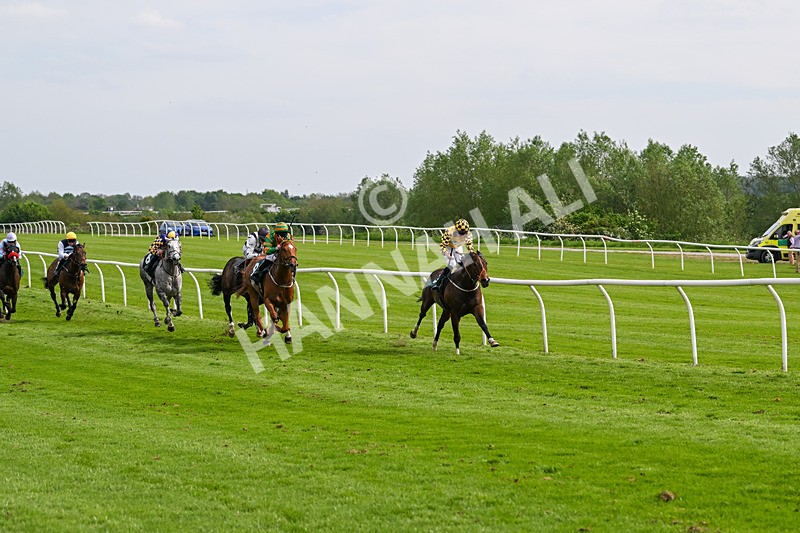 130524-Race 5-Sherdil-0576
