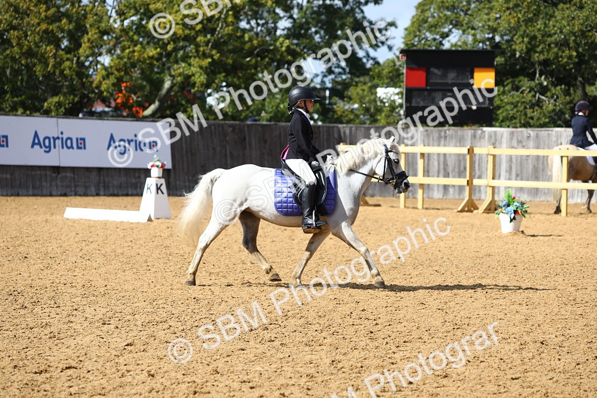 SBM_49059 - D23 - Junior Championship Prelim 1