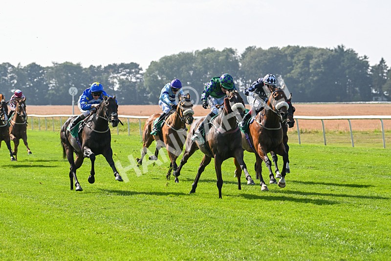 300824-Race 4-Tinto-5973 - Race 4