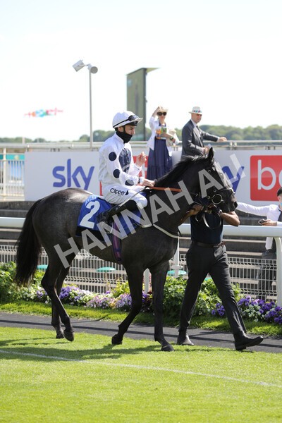 yr12062021r5-2 - Race 5 4.15pm Reg Griffin Appreciation EBFstallions.com Maiden Stakes