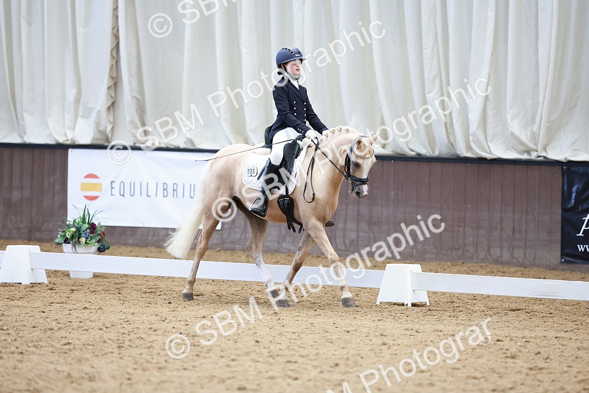 SBM_017385 - Class15 - FEI Pony