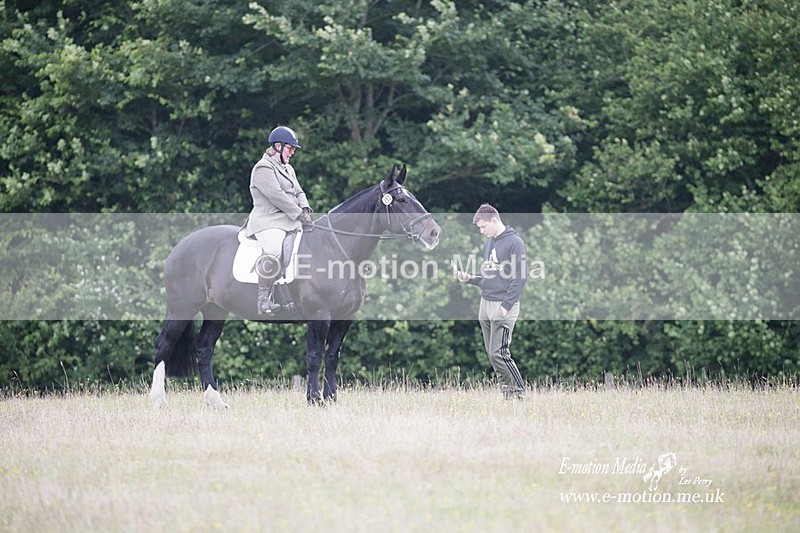 BVRC 030721 767 - Bourne Valley Riding Club Dressage 03/07/21