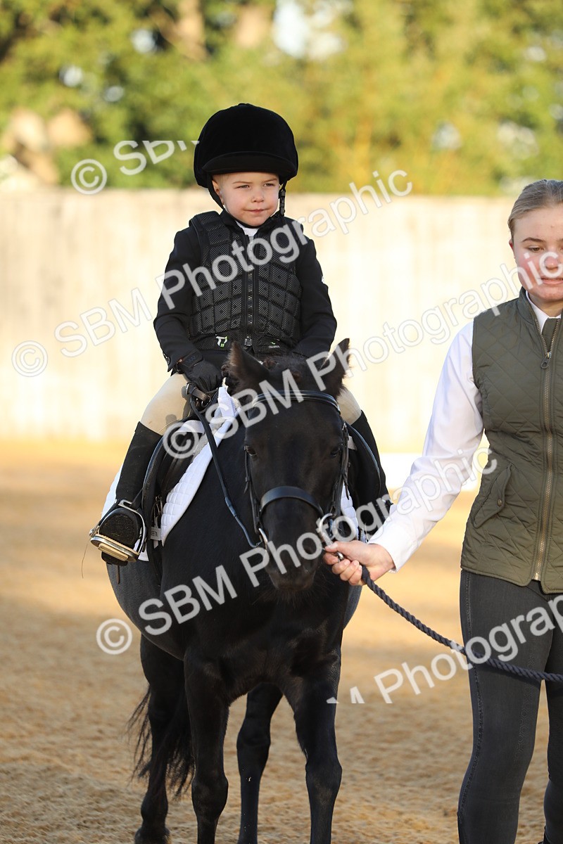 SBM_33560 - D26 - Starers - Lead Rein